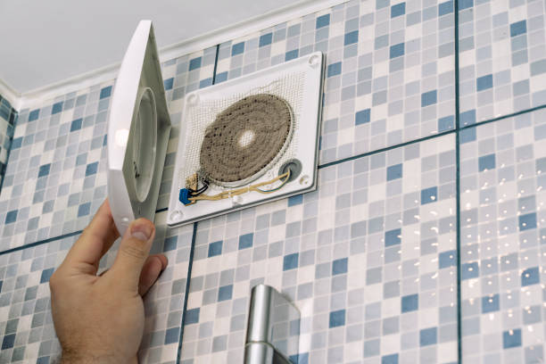 Air Duct Mold Removal in Five Forks, SC